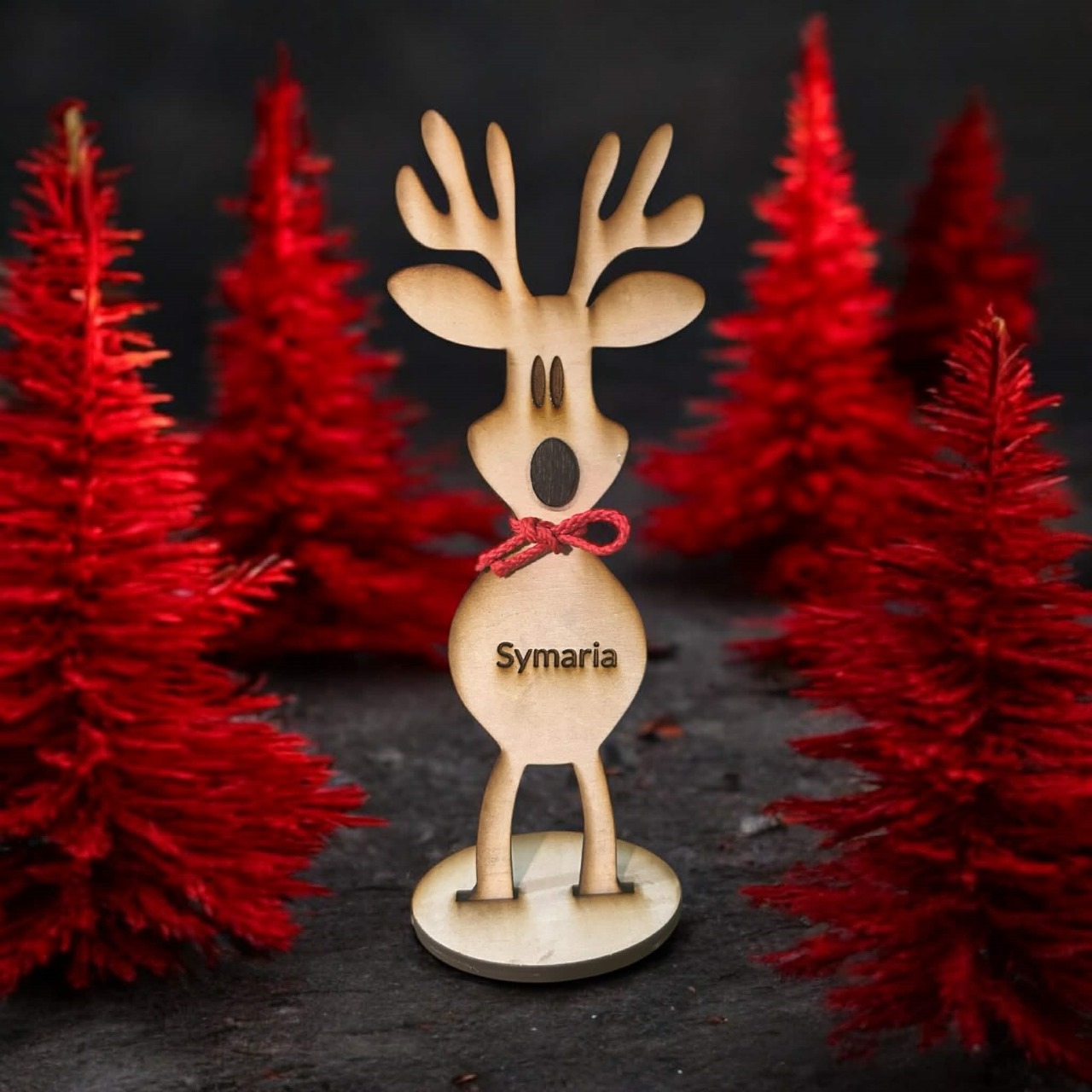 WhatsApp Image 2025-11-15 at 9.12.54 AM